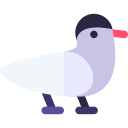 golondrina arctica