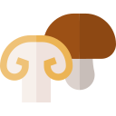 shiitake