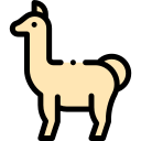 lama