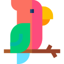 perroquet