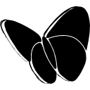 logotipo de borboleta social esboçado do msn Ícone