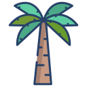 palmera