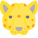 guepardo