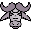 Buffalo