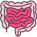 intestin
