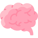 Brain