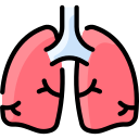 poumons