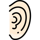orelhas