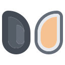 Mussel