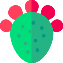 cactusvijg