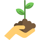 Growing plant