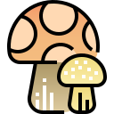 champignon