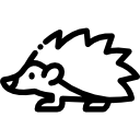 Hedgehog