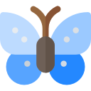 mariposa