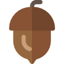 Acorn