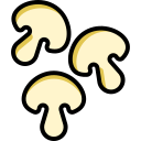 champignons