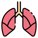 Lungs