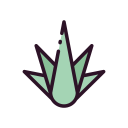 agawa