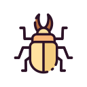 Beetle