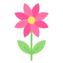 fiore