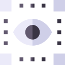 Eye