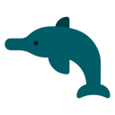 dolfijn