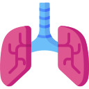 Lungs