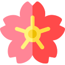 fleur de cerisier