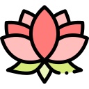 fleur de lotus