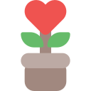 Растение любви