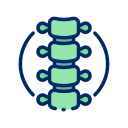 columna vertebral