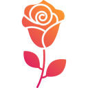 rosa