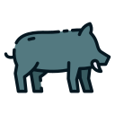 Wild pig