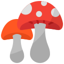 funghi