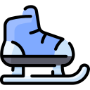 아이스 스케이트