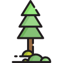 Pine