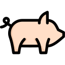 schwein