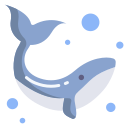 Whale