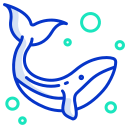 Whale