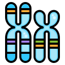 chromosom