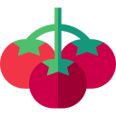 pomodoro