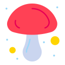 champignon