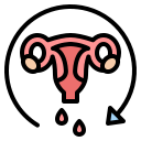 menstruationszyklus