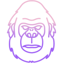 gorilla