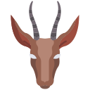 Gazelle