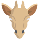 Жирафа