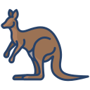 kangur