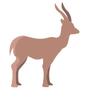 Gazelle