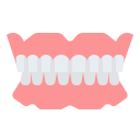 Denture