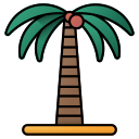 Coconut tree